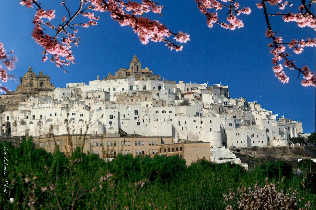 Casa Carlotta Villa Ostuni Exterior photo